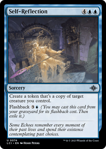 Self reflection lci mtg - x1, 74