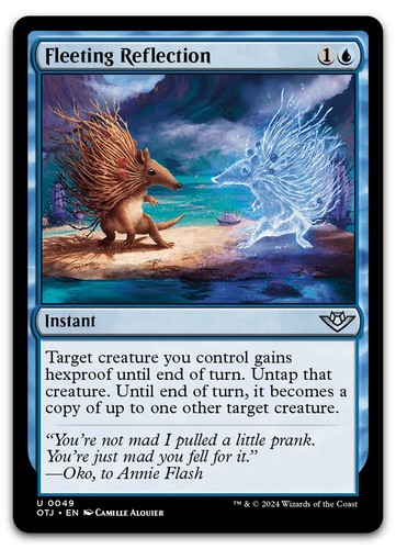 Fleeting reflection - fleeting,